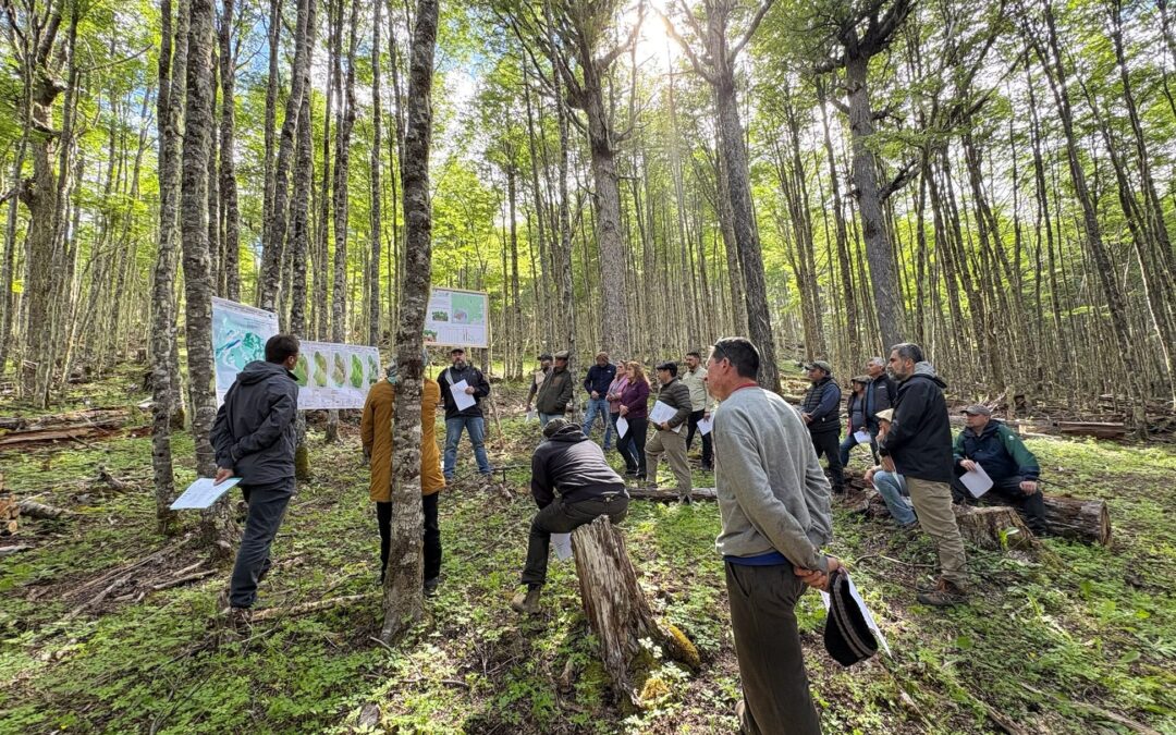 BioAysén inicia trabajo en terreno para certificar servicios ecosistémicos en la Región de Aysén