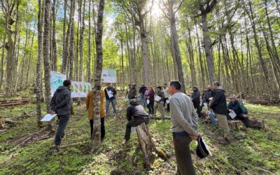 BioAysén inicia trabajo en terreno para certificar servicios ecosistémicos en la Región de Aysén